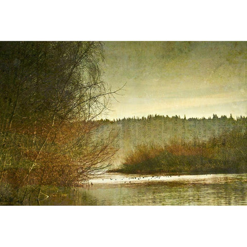 Marymoor Moment White Modern Wood Framed Art Print by Ruest, Liz