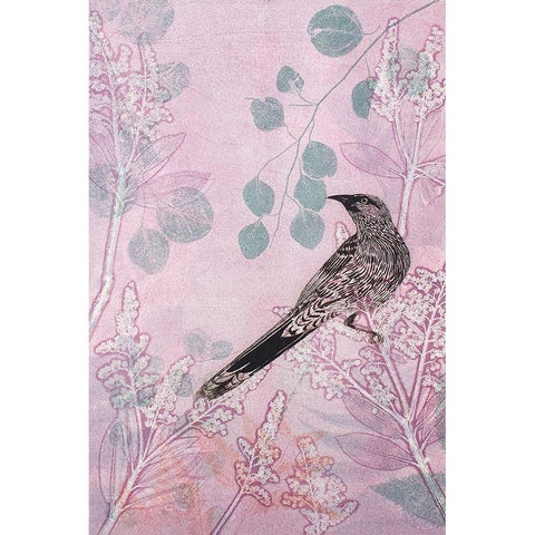 Dusk Wattlebird in Pink Black Modern Wood Framed Art Print with Double Matting by Rice, Trudy