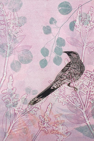 Dusk Wattlebird in Pink White Modern Wood Framed Art Print with Double Matting by Rice, Trudy