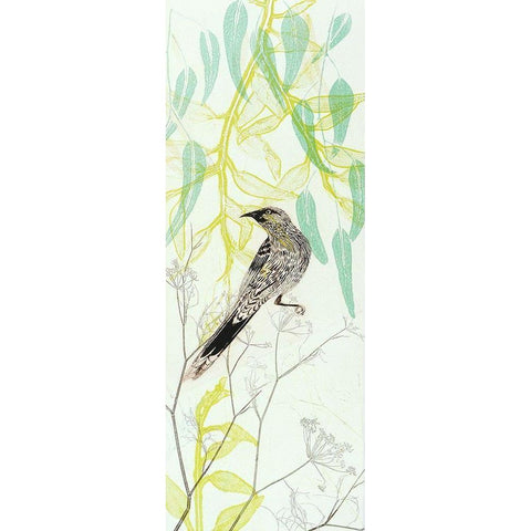 Eager To Fly Wattlebird White Modern Wood Framed Art Print by Rice, Trudy