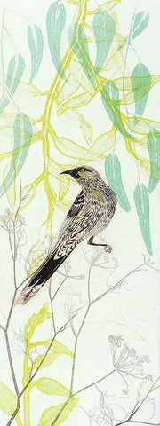 Eager To Fly Wattlebird White Modern Wood Framed Art Print with Double Matting by Rice, Trudy