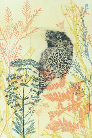 Friendly Tawny Frog White Modern Wood Framed Art Print with Double Matting by Rice, Trudy