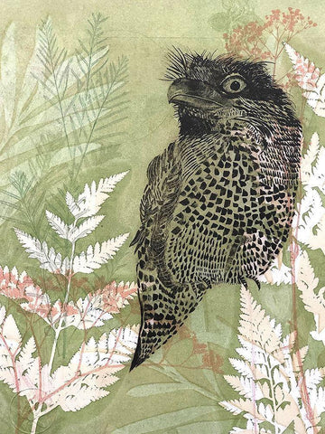 Tawny Frog Mouth Black Ornate Wood Framed Art Print with Double Matting by Rice, Trudy