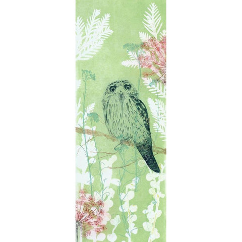 The Tranquil Tawny Frog Mouth Gold Ornate Wood Framed Art Print with Double Matting by Rice, Trudy