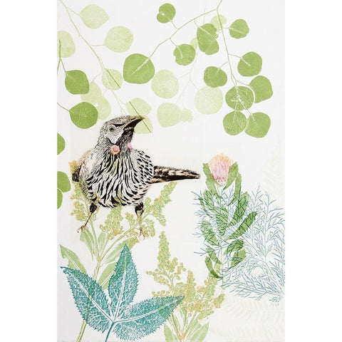 Wattlebird and Pincushion Protea Black Modern Wood Framed Art Print by Rice, Trudy