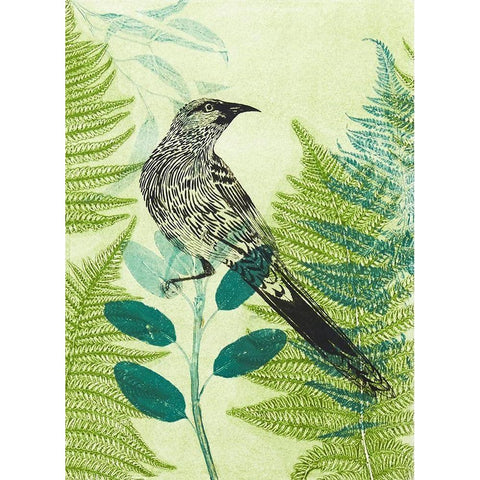 Wattlebird Hiding in the Fernery Black Modern Wood Framed Art Print by Rice, Trudy