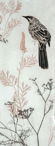 Wattlebird Hovering In My Garden White Modern Wood Framed Art Print with Double Matting by Rice, Trudy