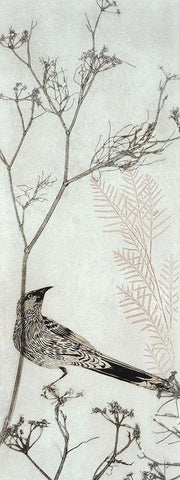 Wattlebird Resting on a Branch Black Ornate Wood Framed Art Print with Double Matting by Rice, Trudy