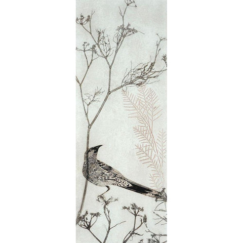 Wattlebird Resting on a Branch Black Modern Wood Framed Art Print with Double Matting by Rice, Trudy