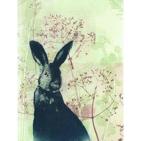 Wild Rabbit Black Modern Wood Framed Art Print by Rice, Trudy