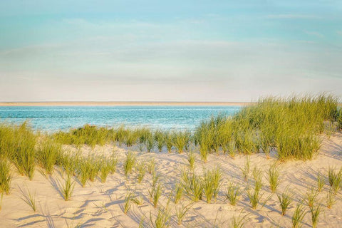 Monomoy View Black Ornate Wood Framed Art Print with Double Matting by Ryan, Brooke T.