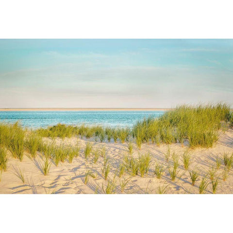 Monomoy View Black Modern Wood Framed Art Print with Double Matting by Ryan, Brooke T.