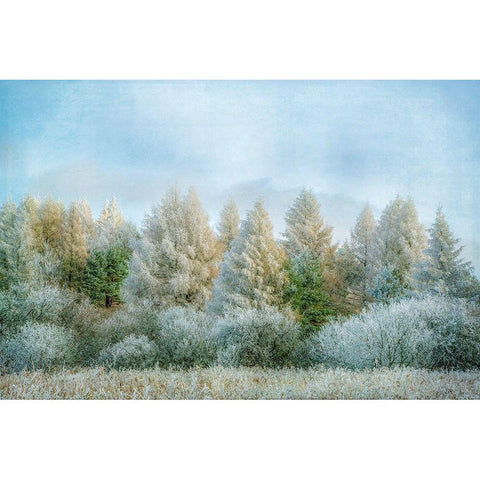 Winter Wonderland White Modern Wood Framed Art Print by Ryan, Brooke T.