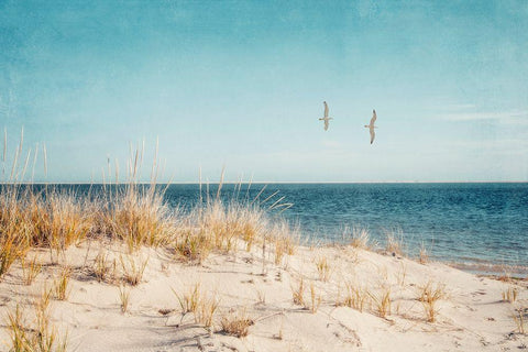 Beach And Gulls Black Ornate Wood Framed Art Print with Double Matting by Ryan, Brooke T.