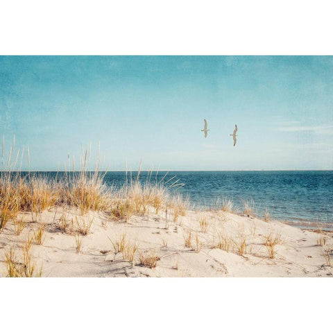 Beach And Gulls Black Modern Wood Framed Art Print by Ryan, Brooke T.
