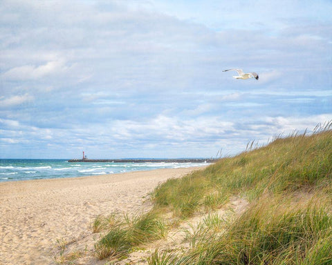 Beach And Jetty White Modern Wood Framed Art Print with Double Matting by Ryan, Brooke T.