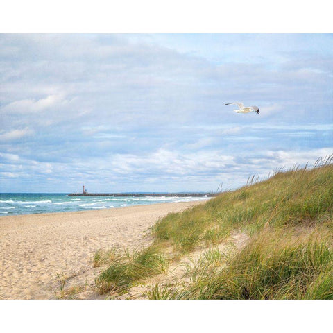 Beach And Jetty White Modern Wood Framed Art Print by Ryan, Brooke T.