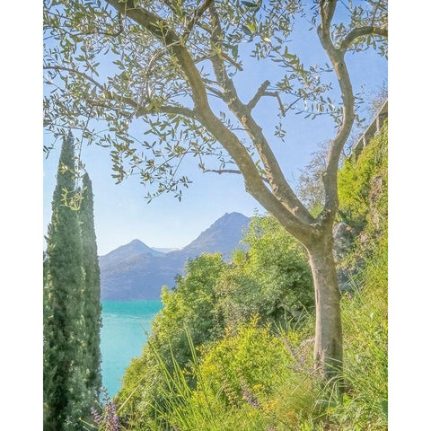 Lago di Como View No. 2 Gold Ornate Wood Framed Art Print with Double Matting by Ryan, Brooke T.