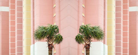 Two Palms Black Ornate Wood Framed Art Print with Double Matting by Ryan, Brooke T.