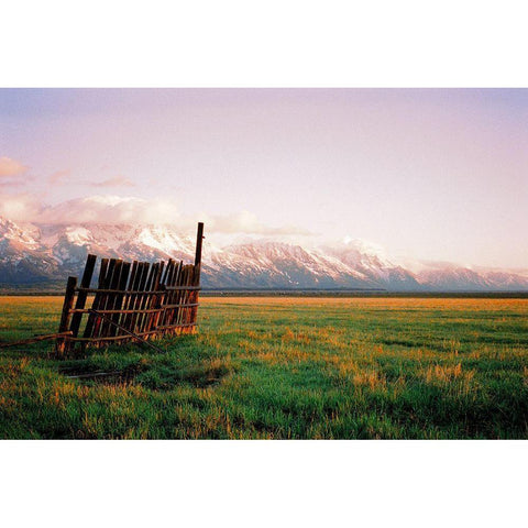 Fence In Jackson White Modern Wood Framed Art Print by Rapson, Sol