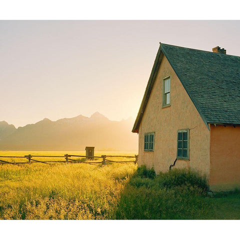 Golden Tetons White Modern Wood Framed Art Print by Rapson, Sol