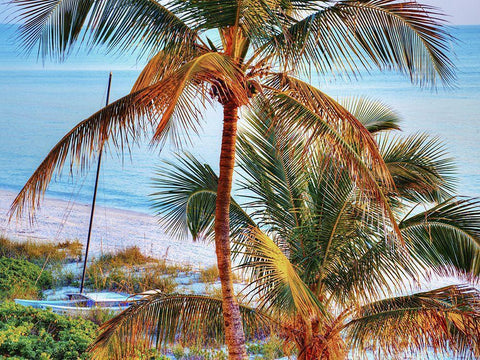 Colors of Florida White Modern Wood Framed Art Print with Double Matting by Reed, Jack