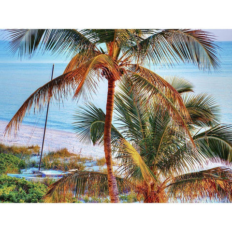 Colors of Florida White Modern Wood Framed Art Print by Reed, Jack