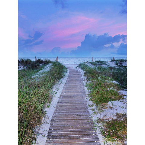 Sunrise Walk White Modern Wood Framed Art Print by Reed, Jack