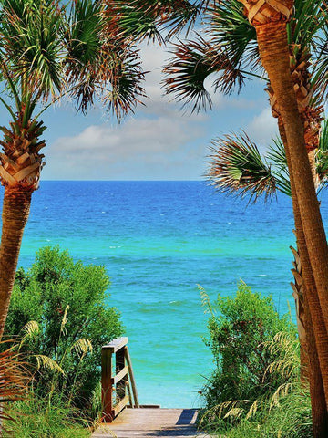 Stairs White Modern Wood Framed Art Print with Double Matting by Reed, Jack