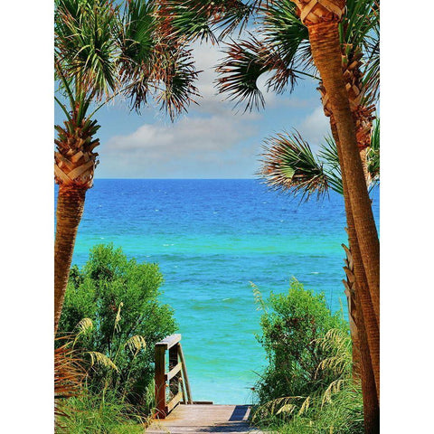 Stairs White Modern Wood Framed Art Print by Reed, Jack