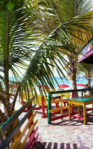 Happy Day White Modern Wood Framed Art Print with Double Matting by Reed, Jack