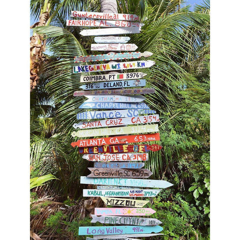 Signs Black Modern Wood Framed Art Print with Double Matting by Reed, Jack