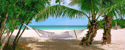 Sand Castle Black Ornate Wood Framed Art Print with Double Matting by Reed, Jack