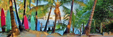 Island Style Black Ornate Wood Framed Art Print with Double Matting by Reed, Jack