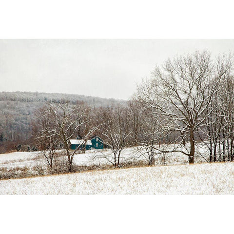 Teal Farmhouse White Modern Wood Framed Art Print by Ryan, Brooke T.