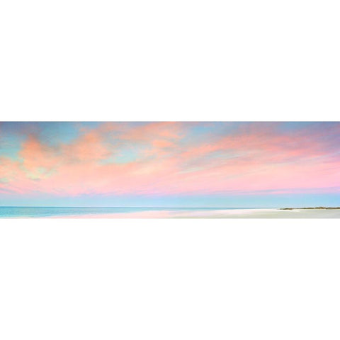 Captiva White Modern Wood Framed Art Print by Reed, Jack