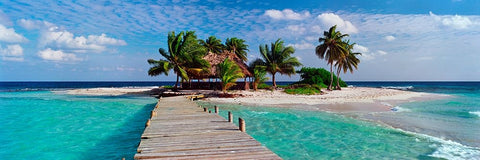 Island Life Black Ornate Wood Framed Art Print with Double Matting by Reed, Jack