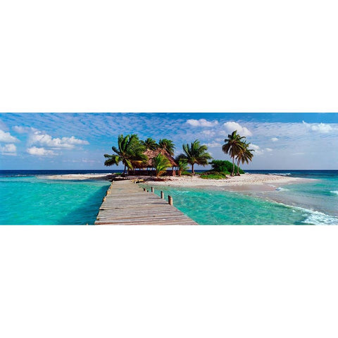 Island Life White Modern Wood Framed Art Print by Reed, Jack