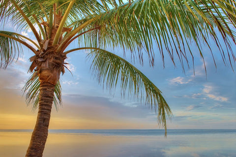 Key West Black Ornate Wood Framed Art Print with Double Matting by Reed, Jack