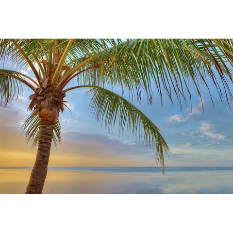 Key West White Modern Wood Framed Art Print by Reed, Jack