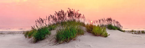 Sea Oats Sun Black Ornate Wood Framed Art Print with Double Matting by Reed, Jack
