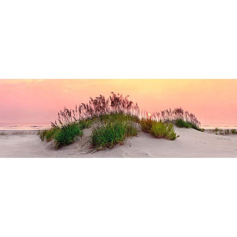 Sea Oats Sun Black Modern Wood Framed Art Print by Reed, Jack