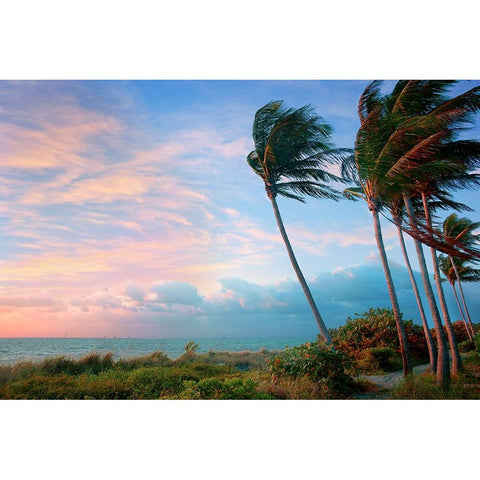 Seabreeze Black Modern Wood Framed Art Print with Double Matting by Reed, Jack