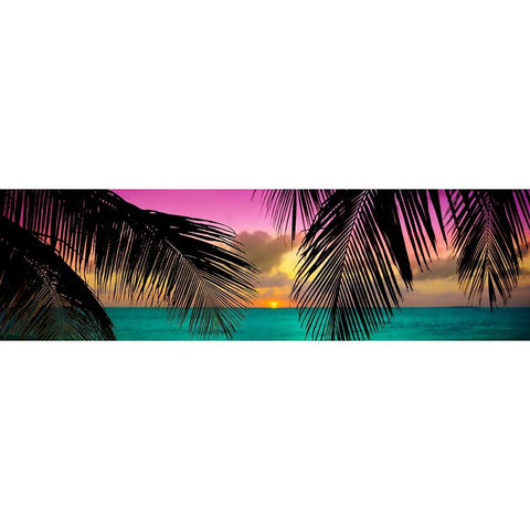 Sun Palms White Modern Wood Framed Art Print by Reed, Jack