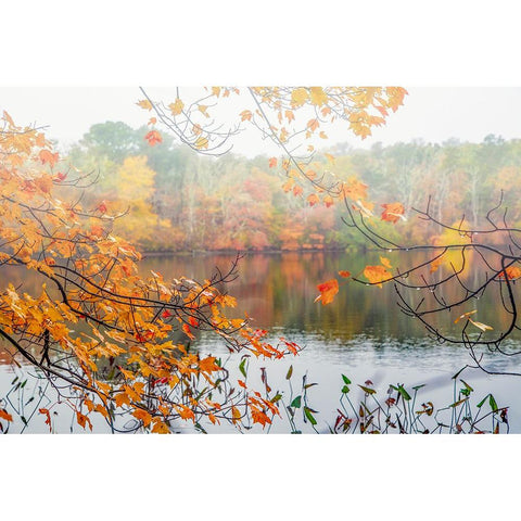 Autumn Pond Black Modern Wood Framed Art Print with Double Matting by Ryan, Brooke T.