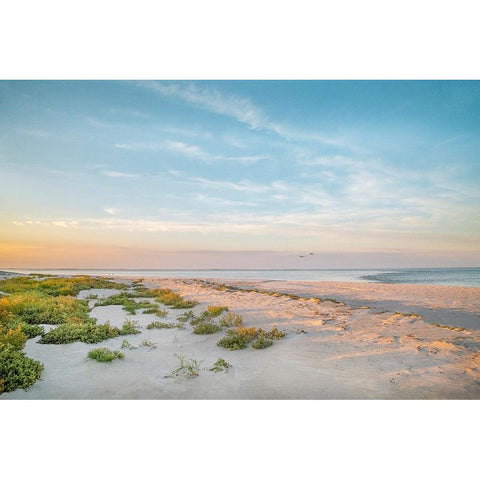 Morning Beach Black Modern Wood Framed Art Print by Ryan, Brooke T.
