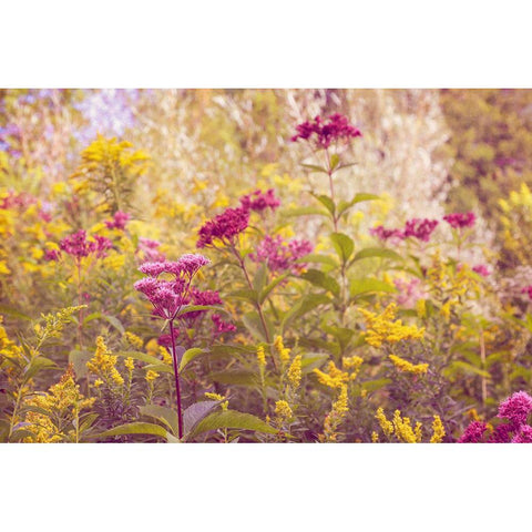 Plum and Mustard Wildflowers Gold Ornate Wood Framed Art Print with Double Matting by Ryan, Brooke T.