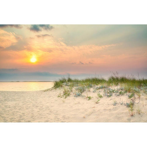 Morning Beach 2 Black Modern Wood Framed Art Print by Ryan, Brooke T.