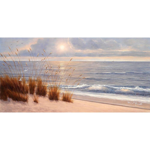 Seashore White Modern Wood Framed Art Print by Romanello, Diane