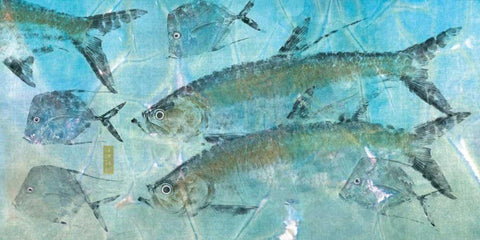 Tarpon Lagoon White Modern Wood Framed Art Print with Double Matting by Roberts, Jim